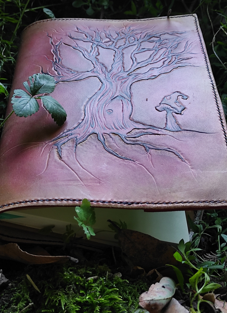 Carnet Arbre — vue 1
