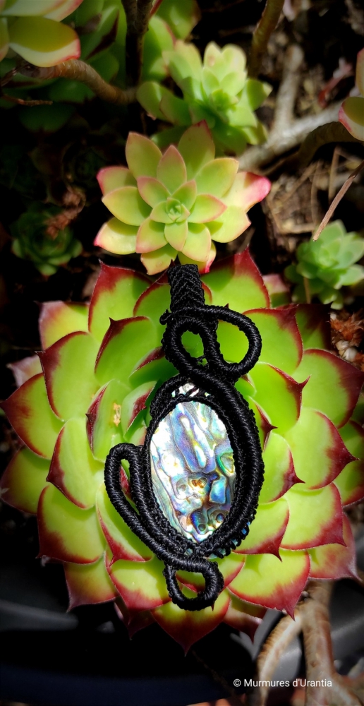 Pendentif abalone