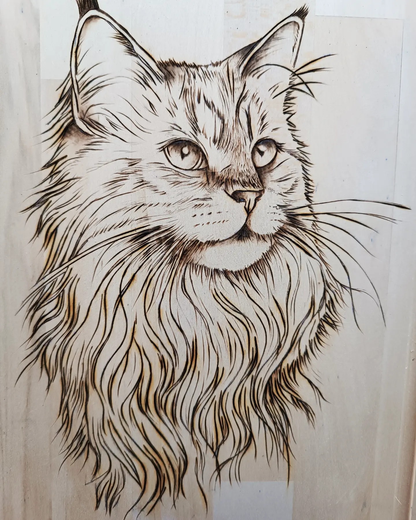 Chat pyrogravé