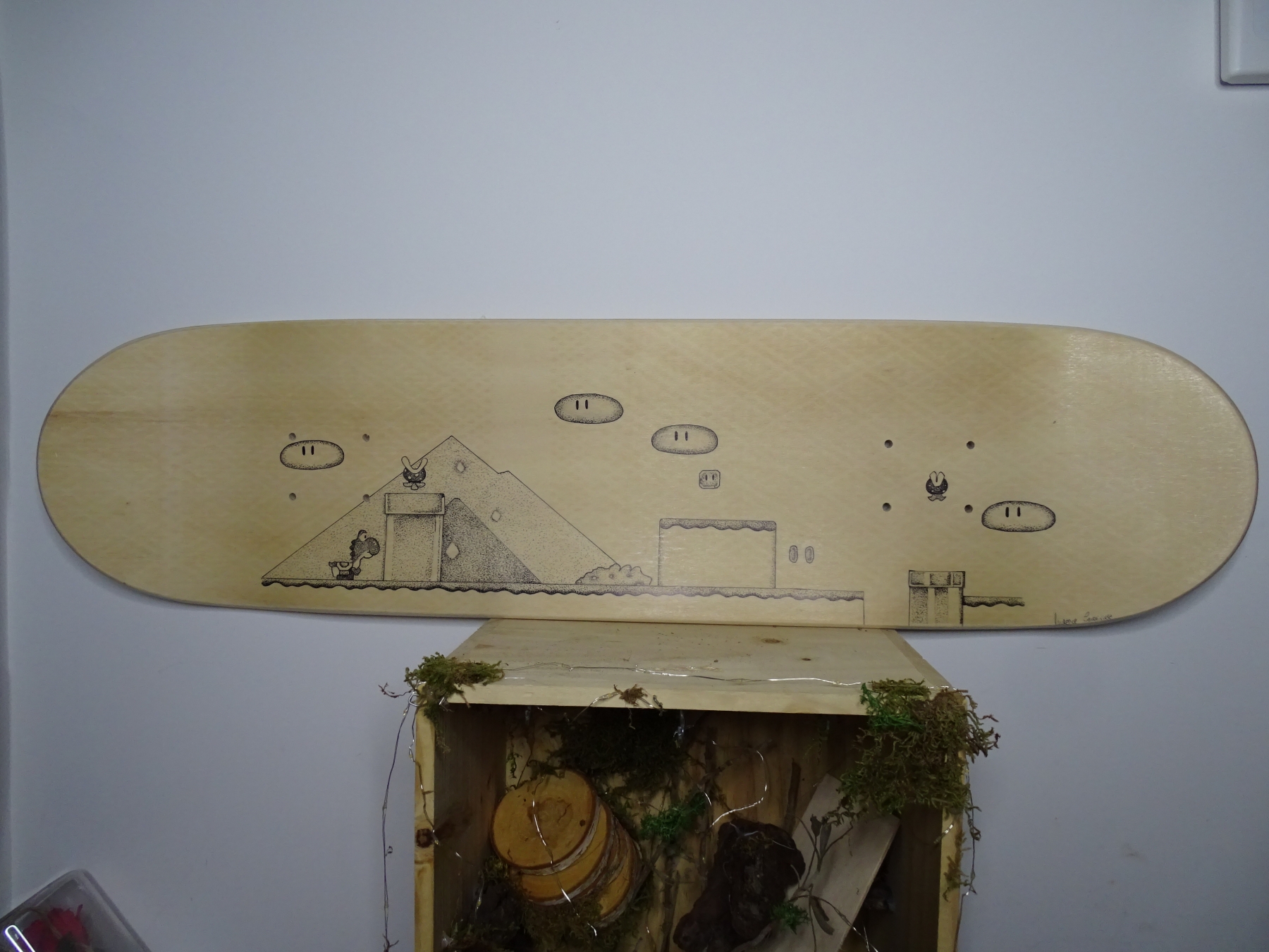 Skate Mario — vue 1
